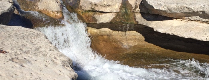 Bull Creek Falls is one of Lieux qui ont plu à Nina.