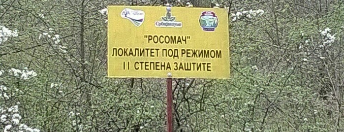 Rosomač is one of Dragana : понравившиеся места.