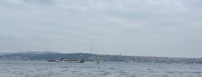 Dolmabahce Hazinekapı is one of Стамбул.