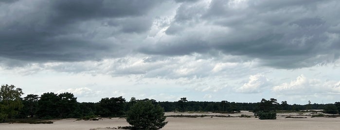 Soesterduinen is one of Locais curtidos por Matthijs.