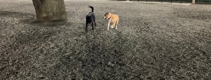 Lincoln Park Dog Run is one of Dog friendly.