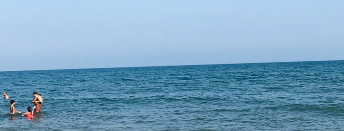 martı sahil sitesi plajı is one of Mersin.