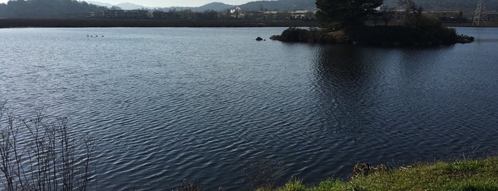 Pacheco Pond is one of easy access.