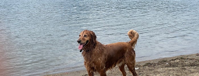 Onota Lake is one of Things to do while in town (Pittsfield and around).