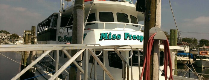 Freeport Princess is one of Me Gusta Mucho.