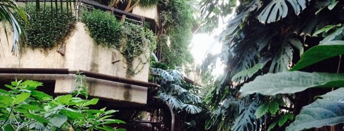 Barbican Conservatory is one of London : things to do and see.