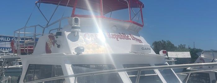 Conch Republic Divers - Diving | Tavernier | Key Largo | Islamorada is one of Key Largo.