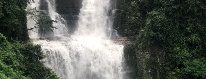 Devon Water Falls is one of Trip to Sri Lanka.