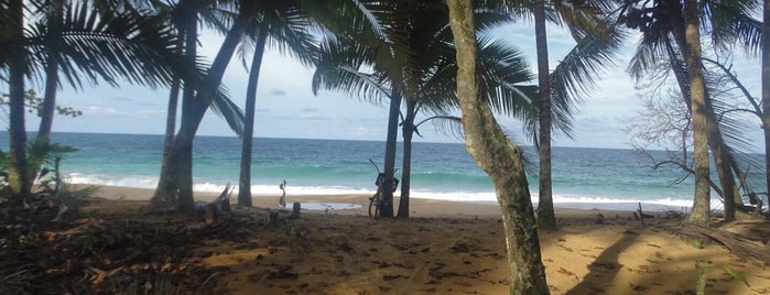 Bluff Beach is one of 🇵🇦 Panama.