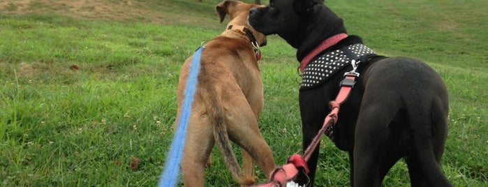 Jakes Branch County Park is one of Julie's things to do.