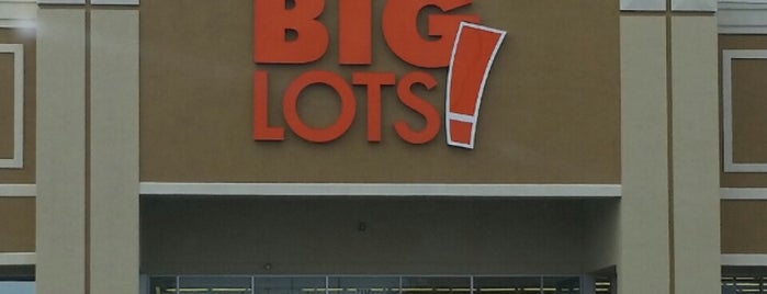 Big Lots is one of Lieux qui ont plu à Raquel.