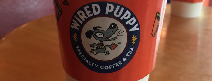 Wired Puppy is one of สถานที่ที่ Christopher ถูกใจ.
