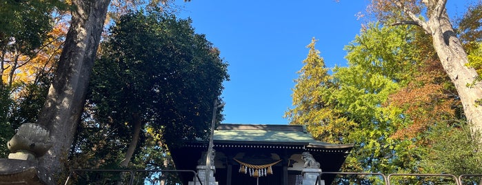 諏訪神社 is one of 東京の名湧水57選.