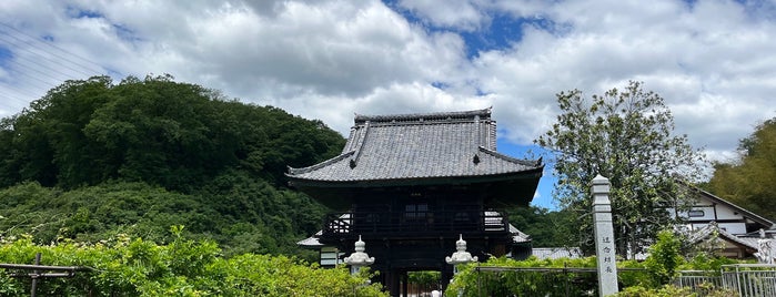 大用山 長泉寺 is one of 東国花の寺百ヶ寺.