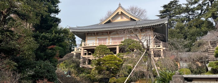 瑠璃山 薬王院（東長谷寺） is one of 東国花の寺百ヶ寺.