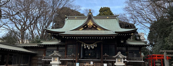 根村氷川神社 is one of 神社_東京都.