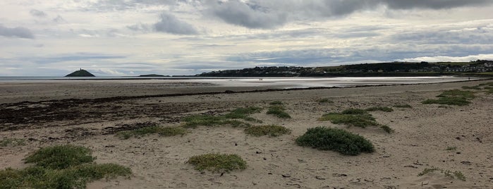 Ballynamona Beach is one of Danilo’s Liked Places.