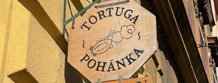 Tortuga és Pohánka is one of Enni.