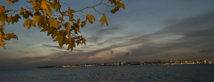 Cunda Meyhanesi is one of İstanbul.