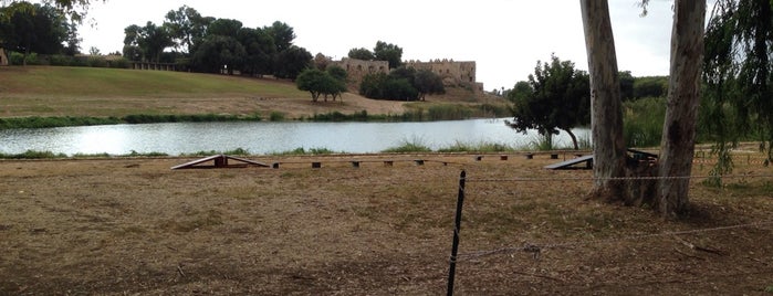 National Park Afek is one of Romanさんのお気に入りスポット.