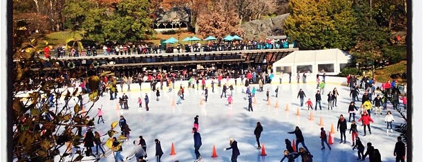 Wollman Rink is one of Adult Camp!.