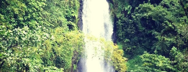 Trafalgar Falls is one of Dominica To Do List.