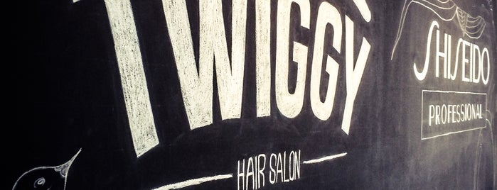 Twiggy Salon is one of food.