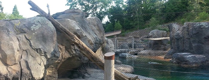 Sea Lion Exhibit is one of Orte, die Leanne gefallen.