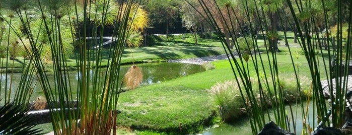 Real Del Bosque Resort Tula de Allende is one of Lugares favoritos de c.