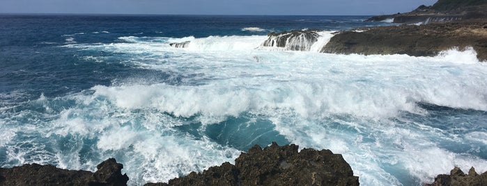 Kaena Point (end of the road) is one of Samさんのお気に入りスポット.