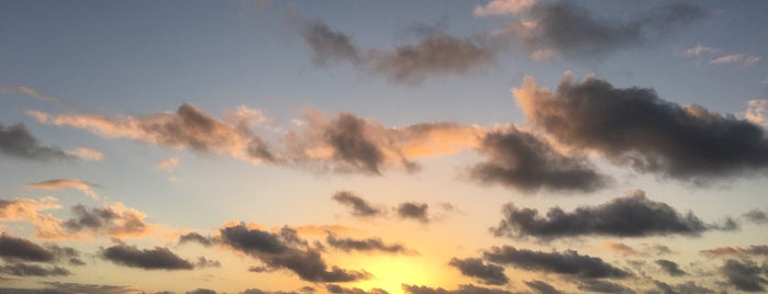 Makapu‘u Lighthouse is one of Samさんのお気に入りスポット.