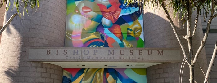 Bishop Museum is one of hawaii.