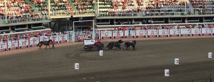 Stampede Park is one of Ana : понравившиеся места.