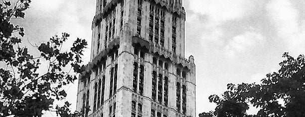 Woolworth Building is one of Skyscrapers of New York.