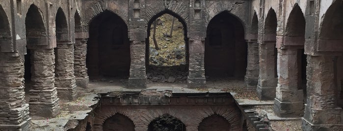 Mirza Ali Jan Baoli is one of Pious 님이 좋아한 장소.