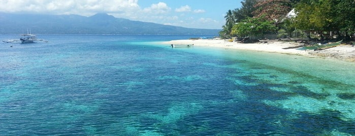 Santander is one of Cebu Province.