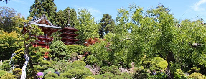 Japanese Tea Garden is one of สถานที่ที่ Tiffany ถูกใจ.