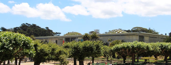 Golden Gate Park is one of Lugares favoritos de Tiffany.