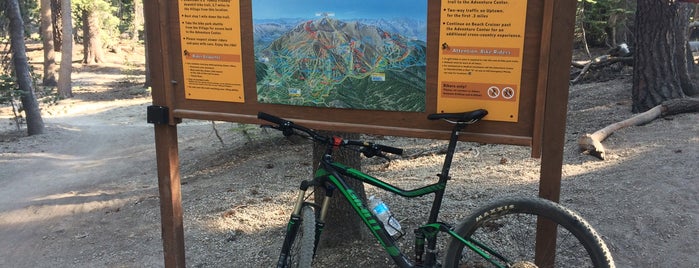 Paper Route - Mammoth Mountain Bike Park is one of สถานที่ที่ Ryan ถูกใจ.