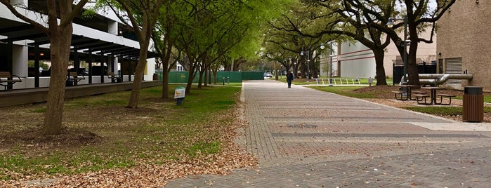 HCC- Central Fine Arts Building is one of David’s Liked Places.