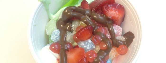 sweetFrog Premium Frozen Yogurt is one of I like to let the fat kid out~~~.