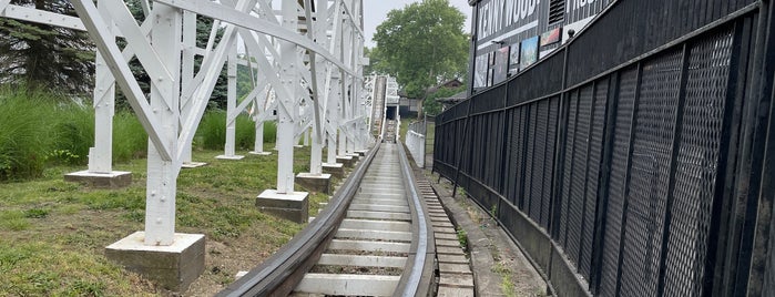 Jack Rabbit is one of Wooden Roller Coasters.