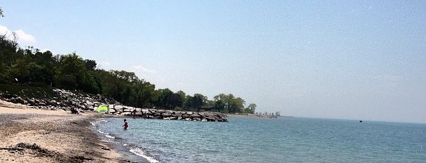 Main Beach is one of Lugares favoritos de Joe.