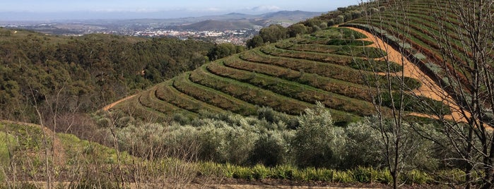 Tokara is one of Cape Town.