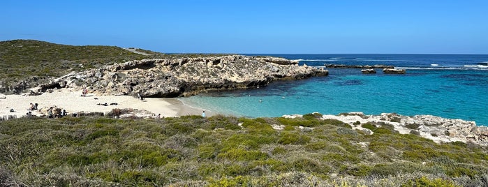 Little Salmon Bay is one of Perth.