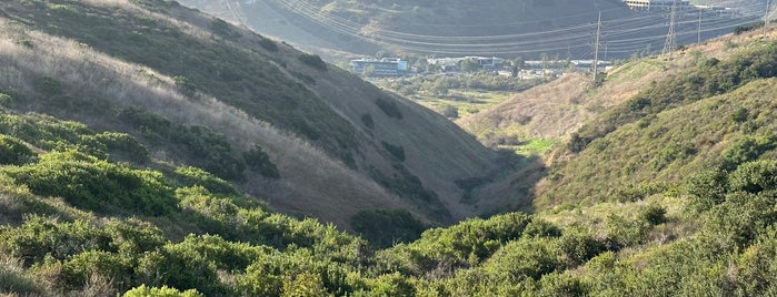 Los Peñasquitos Canyon Preserve is one of San Diego.