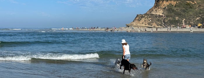 Del Mar Dog Beach is one of Top picks for Dog Runs.