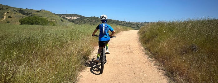 Los Peñasquitos Canyon Preserve (Sorrento Valley) is one of San Diego | Max Swahn.