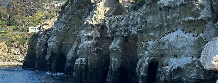 La Jolla Sea Caves is one of San Diego.