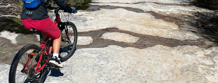 Manly Dam Bike Trail is one of Mountain Biking.